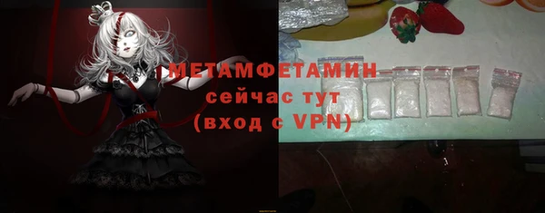 шишки Лабытнанги