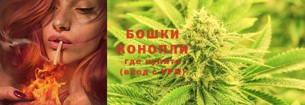 гашик Ладушкин